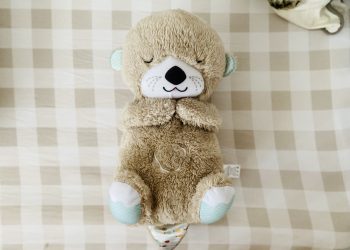 Fisher-Price Nutria Hora de Dormir