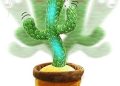 El cactus bailarín que habla, canta y repite todo lo que dices, como un ruiseñor