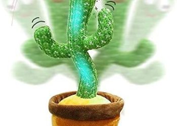 El cactus bailarín que habla, canta y repite todo lo que dices, como un ruiseñor