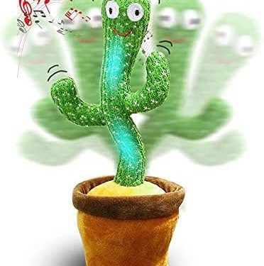 El cactus bailarín que habla, canta y repite todo lo que dices, como un ruiseñor